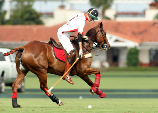 US Openpolo photos pacheco Orchard Hill Alegria polo magazine
