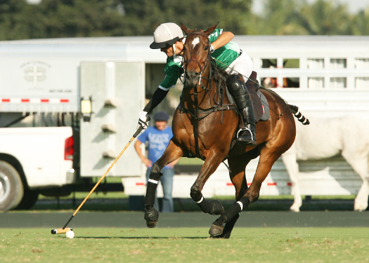 polomag villa del lago tonkawa polo team ipc polo club