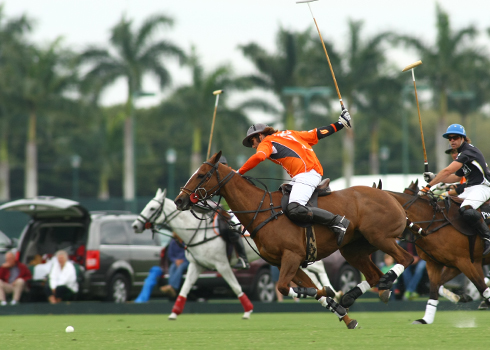 polomagazinethepolophotosalexpachecoipc20goalpoloclub 2