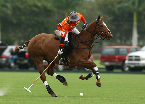 polomagazinethepolophotosalexpachecoipc20goalpoloclub 6