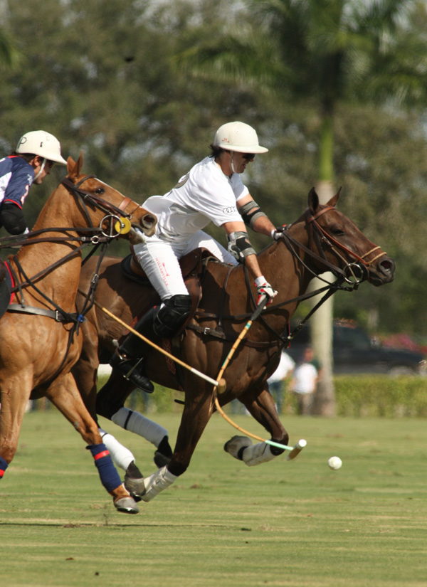 joebarryipcpolomagazine2014pachecophotos 4