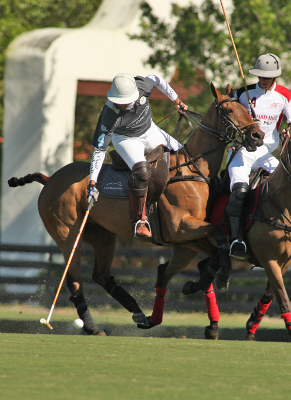 joebarrymemorialcupipcpoloclubpolomagazinepacheco 1